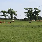 Moate