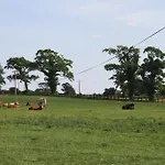 Moate * Athy