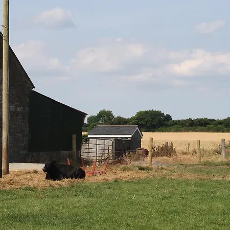 Moate Farmház