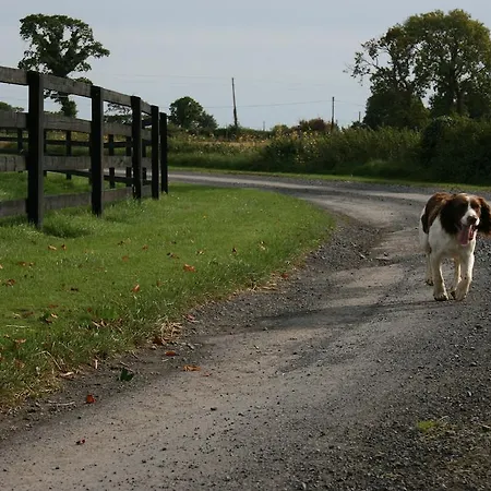 Farm stay Moate