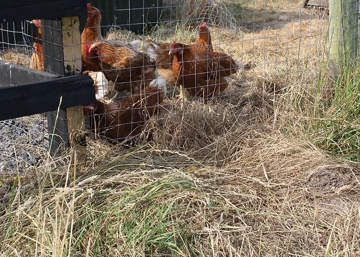 Moate Séjour à la ferme
