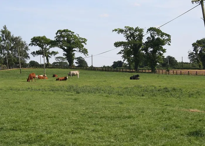 Moate