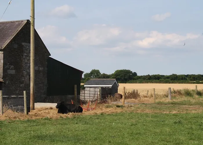 Moate Séjour à la ferme
