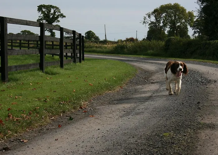 Séjour à la ferme Moate