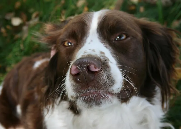 Séjour à la ferme Moate