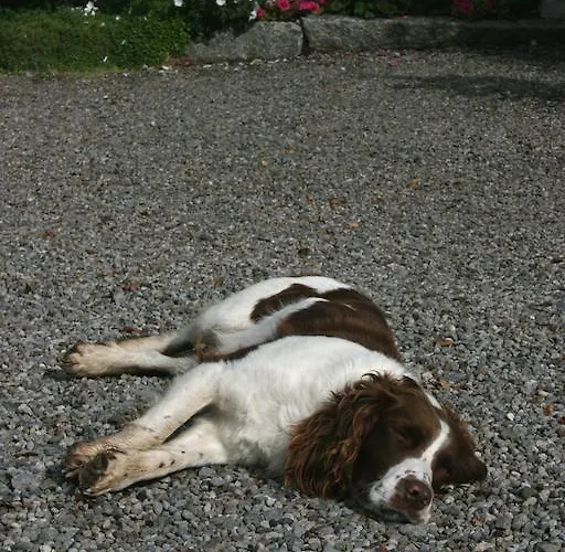 Séjour à la ferme Moate